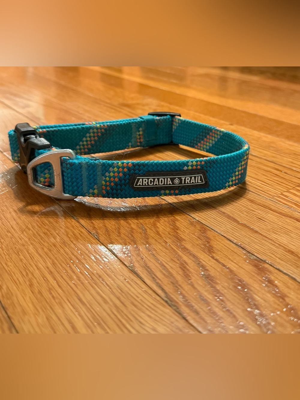 Teal Blue Arcadia Trail Dog Collar - Medium (Like New)